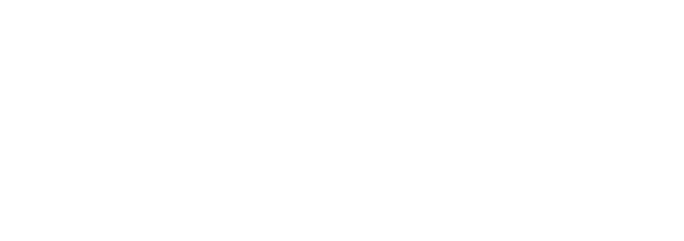 Evobike AXM